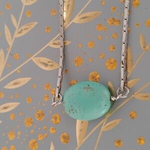 Elegant Silver and Turquoise color necklace